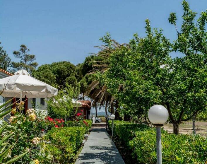 酒店 Vicky Studios