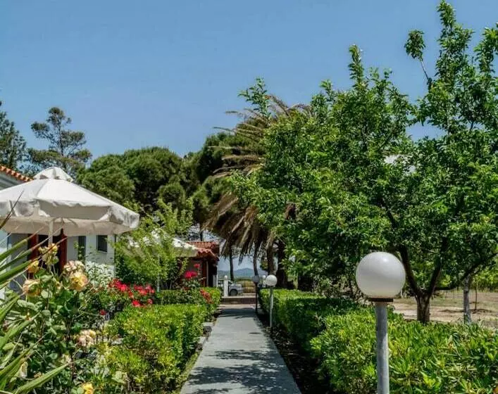 هتل Vicky Studios