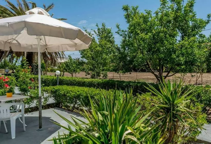 هتل Vicky Studios