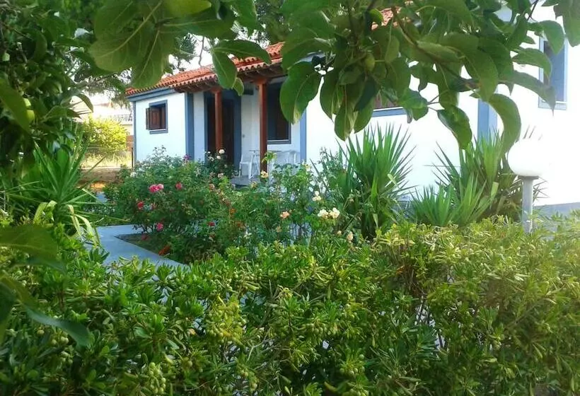 هتل Vicky Studios