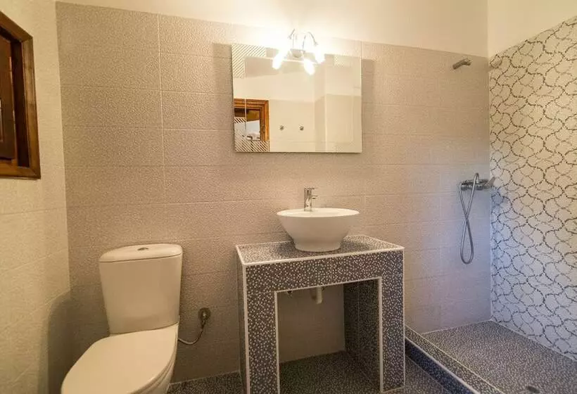 هتل Vicky Studios