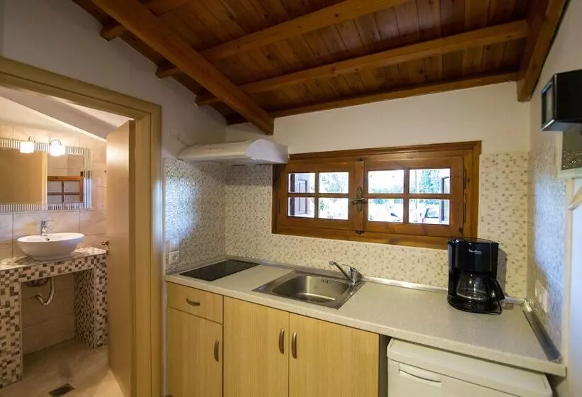 هتل Vicky Studios