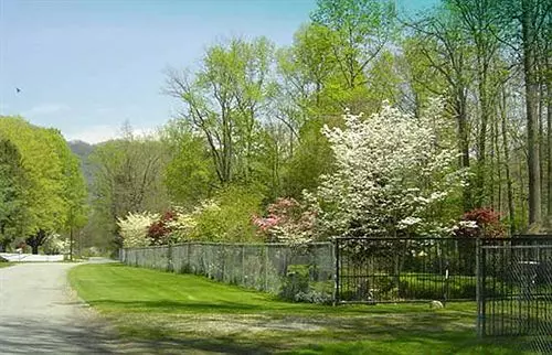 Misty Mountain Ranch B&b