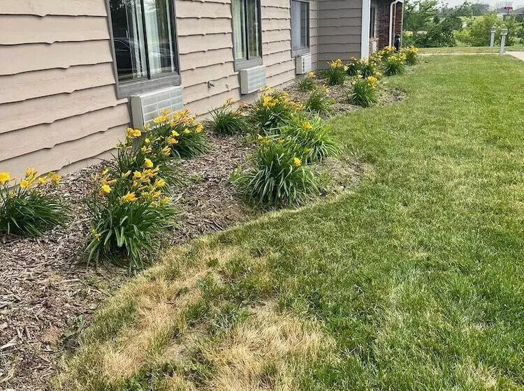 Мотель The Belgium Inn & Suites