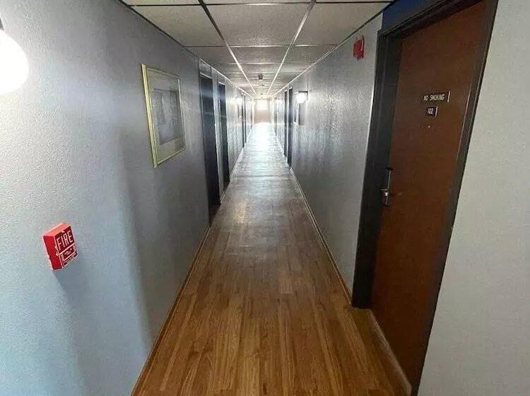 Мотель The Belgium Inn & Suites