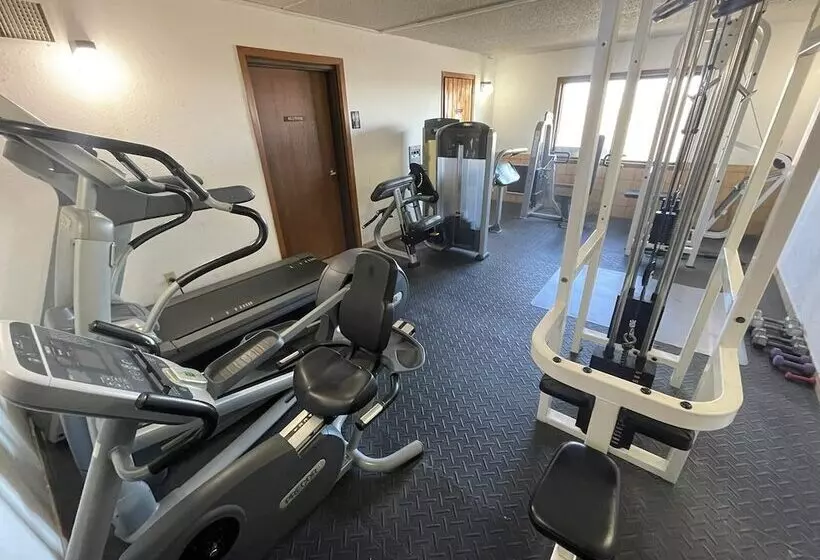 Мотель The Belgium Inn & Suites