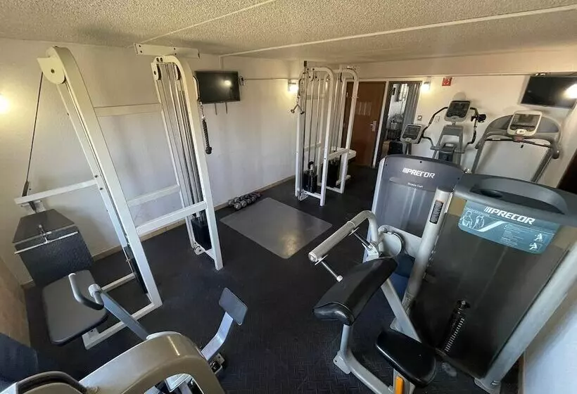 Мотель The Belgium Inn & Suites