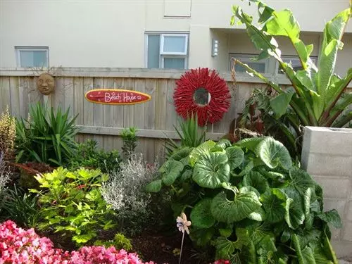 Stunning Views Bed And Breakfast