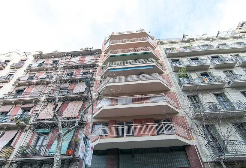 تختخواب و صبحانه The Sky Dome