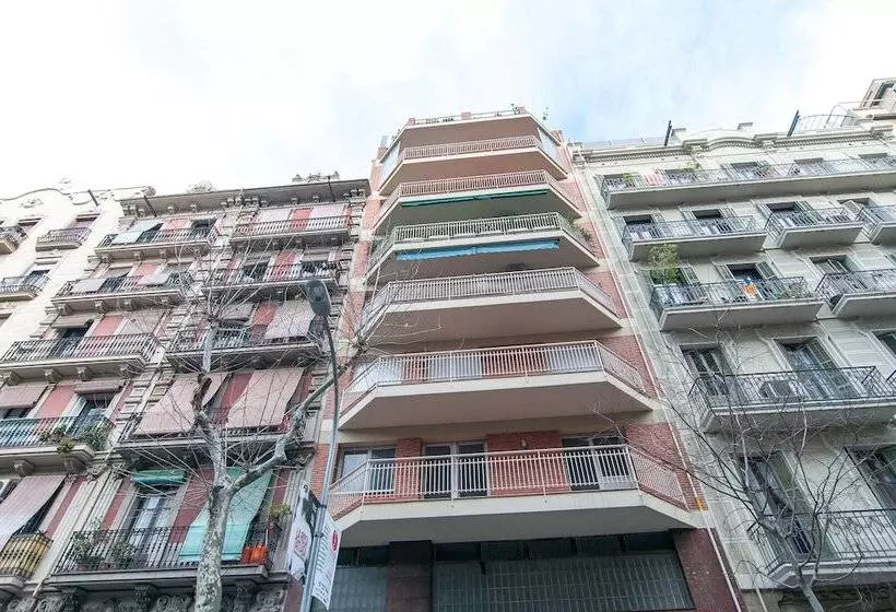 تختخواب و صبحانه The Sky Dome