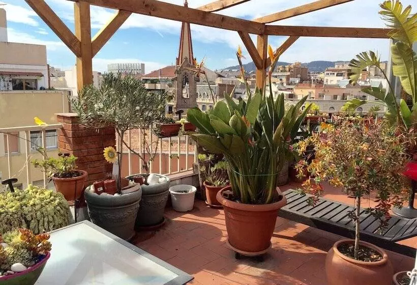 تختخواب و صبحانه The Sky Dome