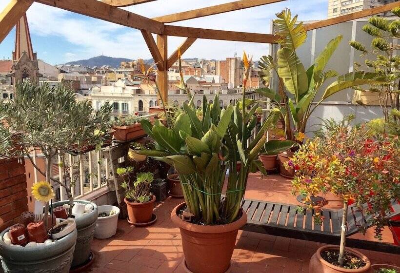 تختخواب و صبحانه The Sky Dome