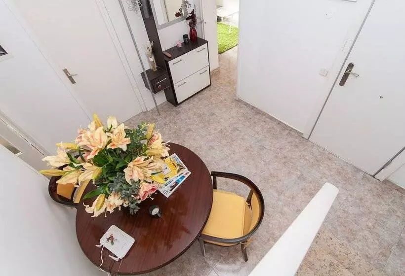 تختخواب و صبحانه The Sky Dome