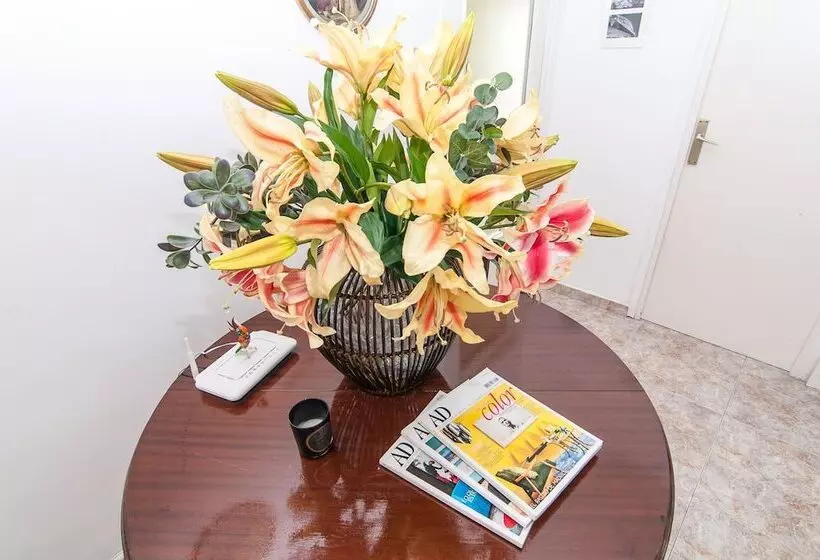 تختخواب و صبحانه The Sky Dome