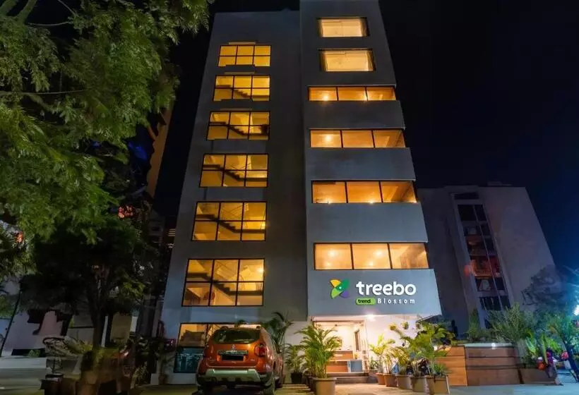 酒店 Treebo Blossom Viman Nagar