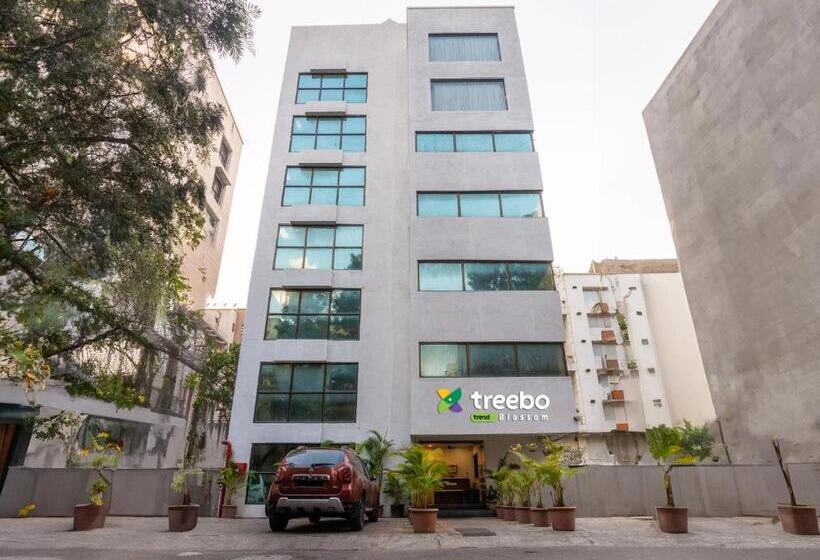 فندق Treebo Blossom Viman Nagar