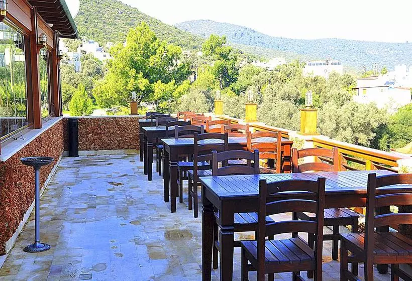 Отель Bodrum Oscar