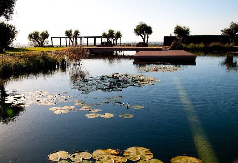 فندق Eco Suites Resort