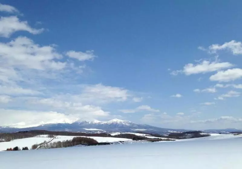 Отель Furano Hops