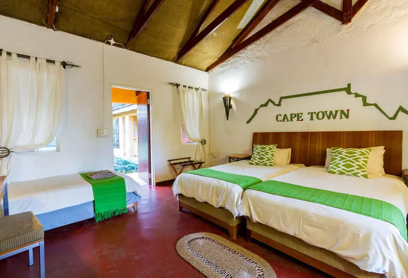 Hotelli Gecko Lodge