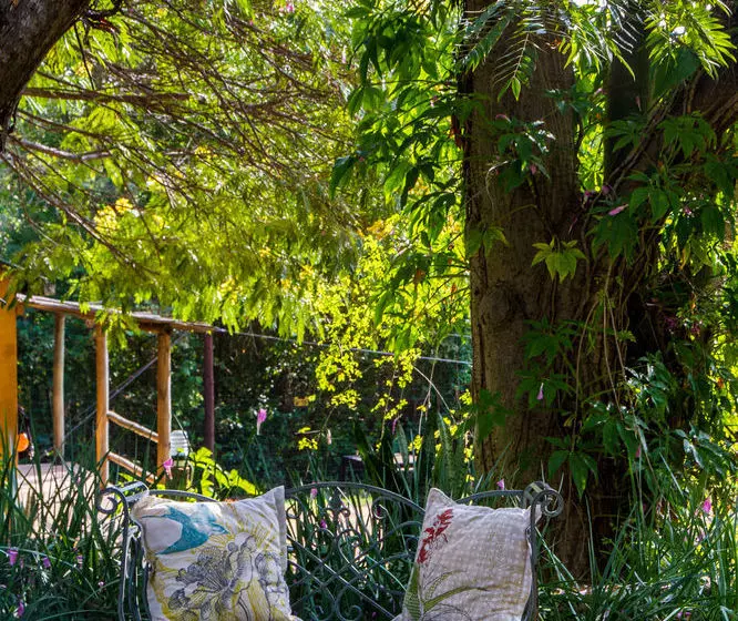 Hotelli Gecko Lodge