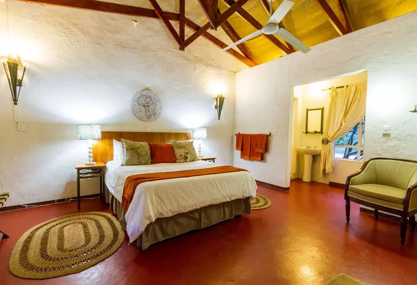 Hotelli Gecko Lodge