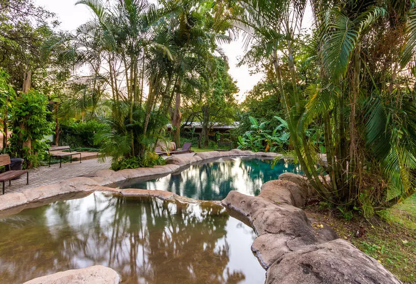 Hotelli Gecko Lodge