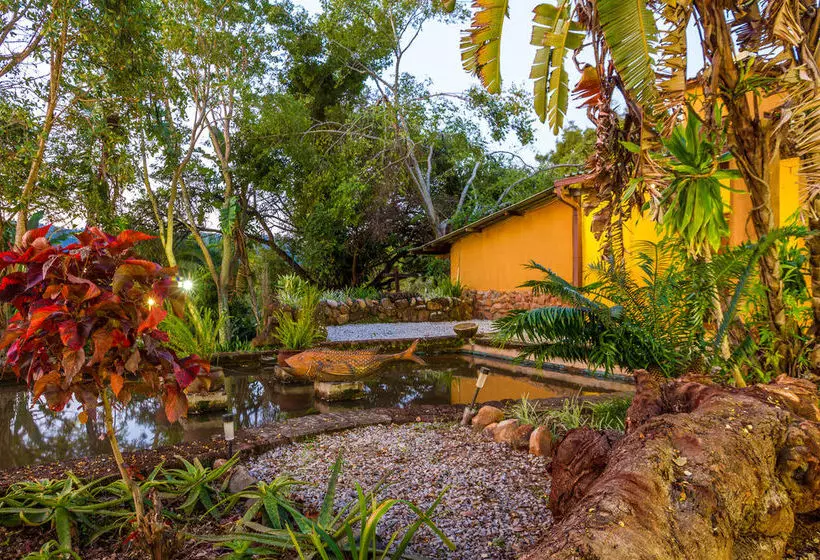 Hotelli Gecko Lodge