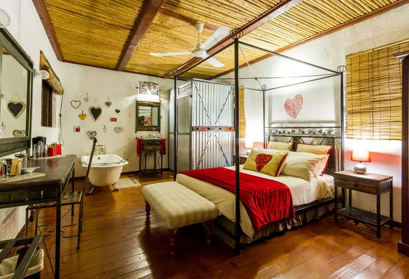 Hotelli Gecko Lodge