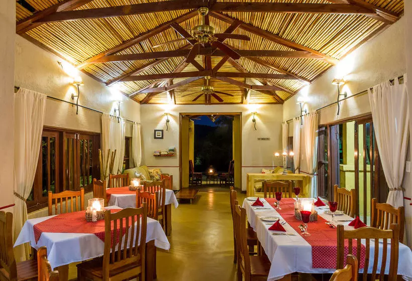 Hotelli Gecko Lodge