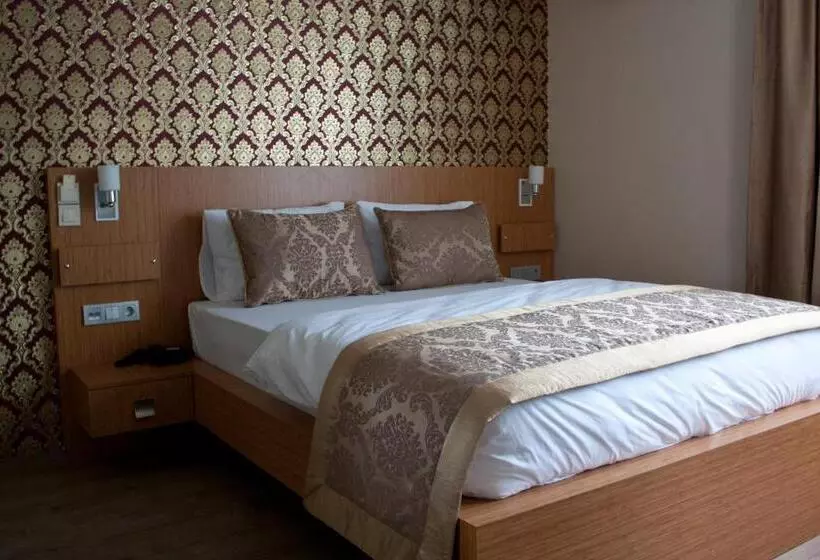 Hotel Istanbul Central