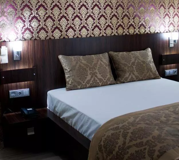 Hotel Istanbul Central