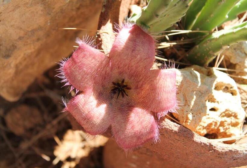 בית מלון כפרי Luagos Club