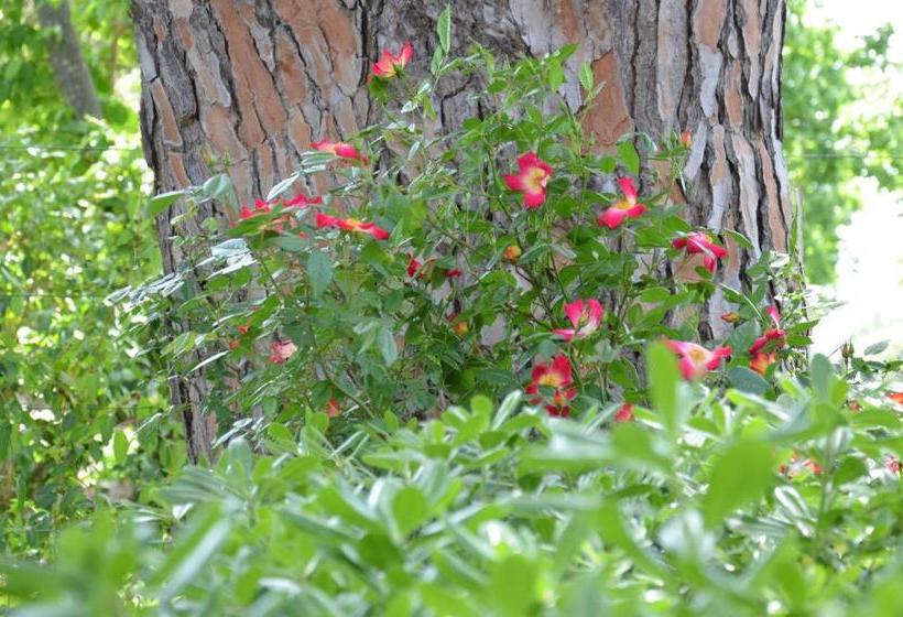 Отель Villa Terme Di Caldana B&b