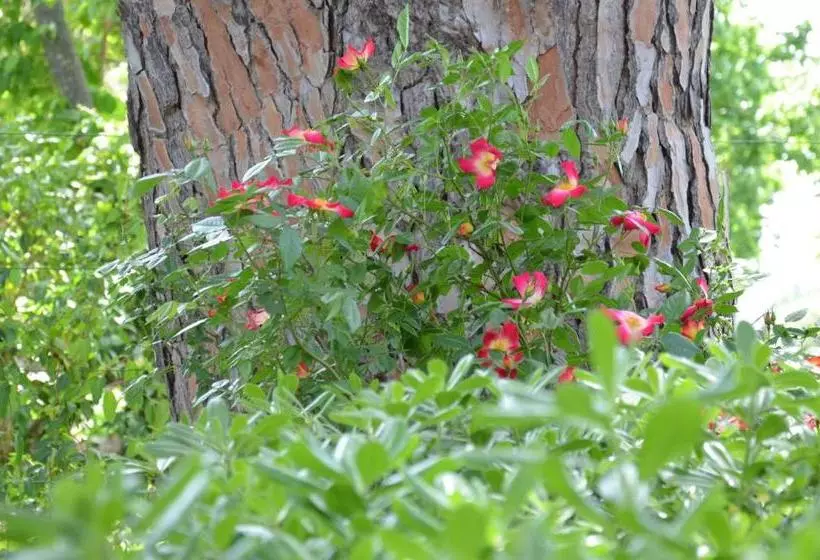 هتل Villa Terme Di Caldana B&b