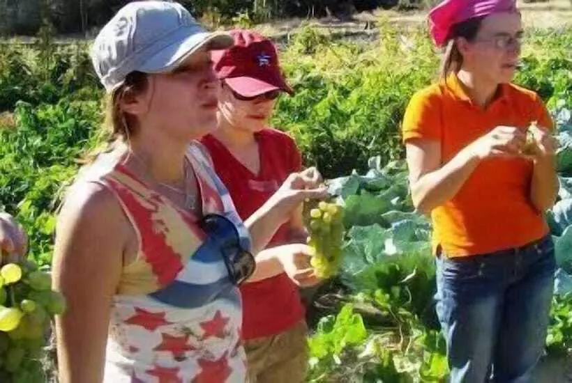 住宿加早餐 Akköy Evleri