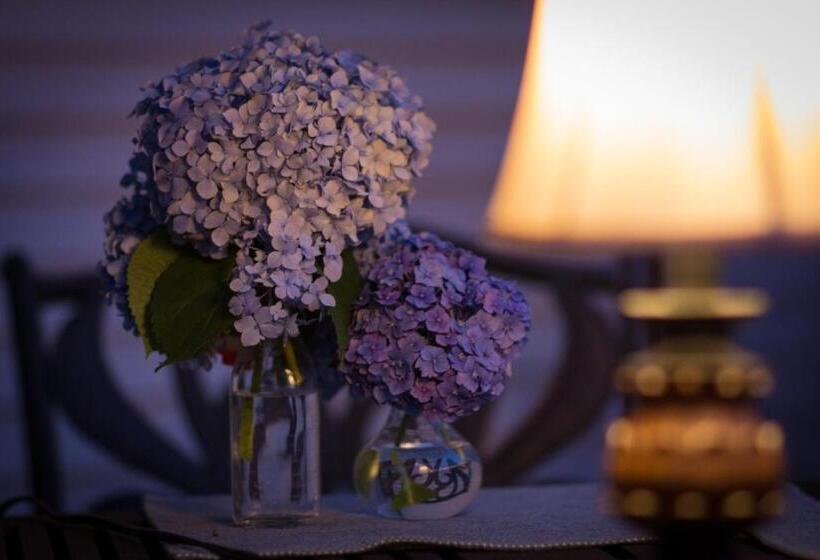 ベッドアンドブレックファースト Brewster By The Sea Inn