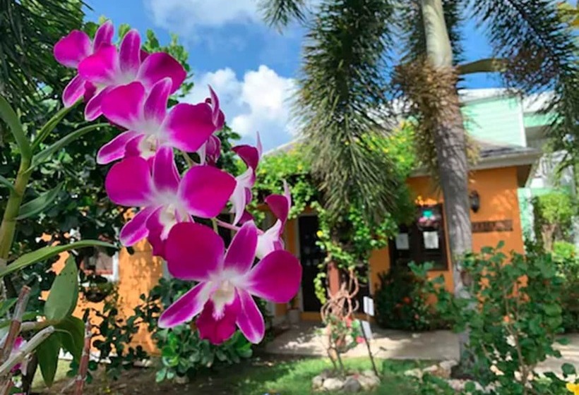 Buccaneer Beach Club