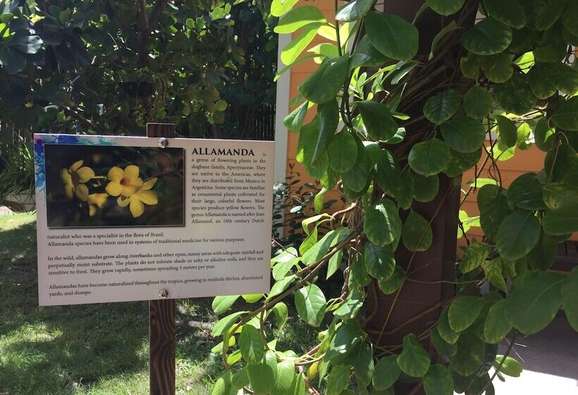 Buccaneer Beach Club