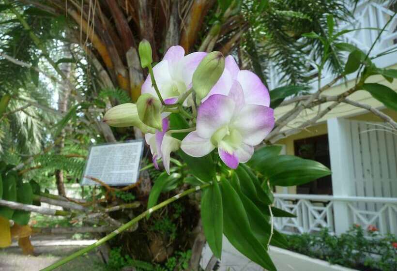 Buccaneer Beach Club