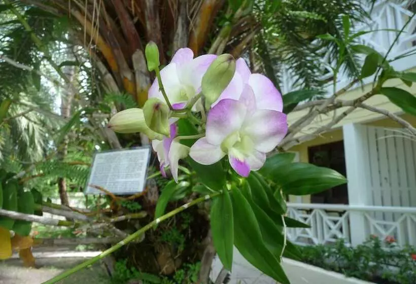 Buccaneer Beach Club