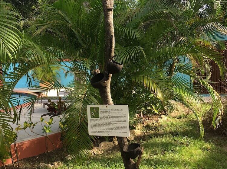 Buccaneer Beach Club