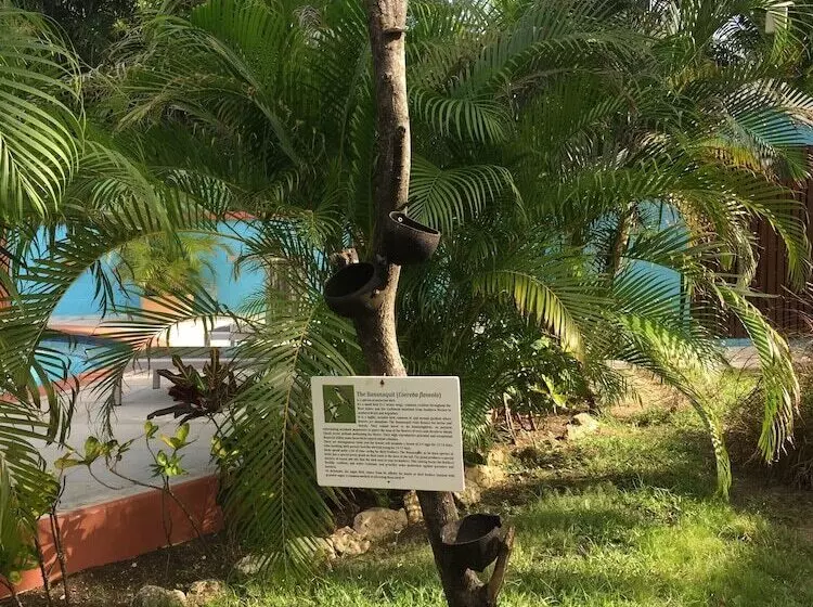 Buccaneer Beach Club