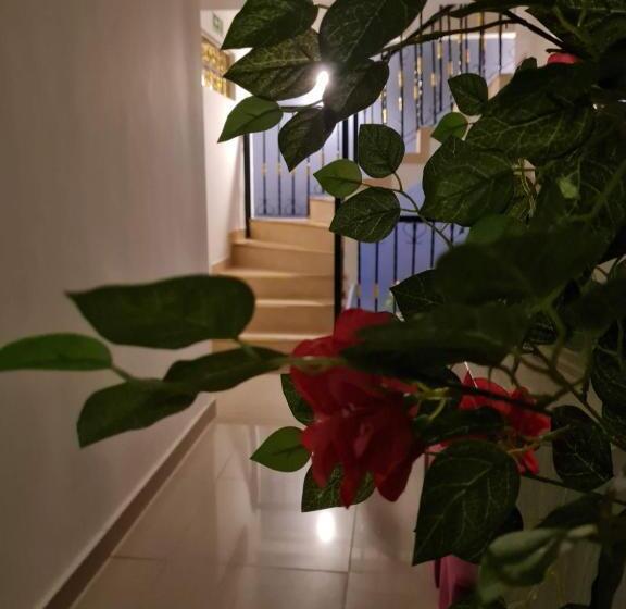 هتل Carolina Del Mar