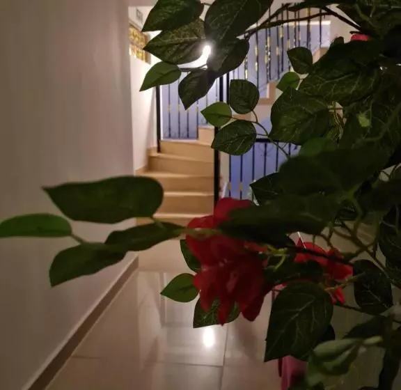 ホテル Carolina Del Mar