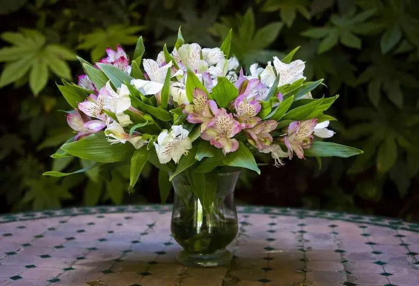 هتل Las Casas De El Arenal