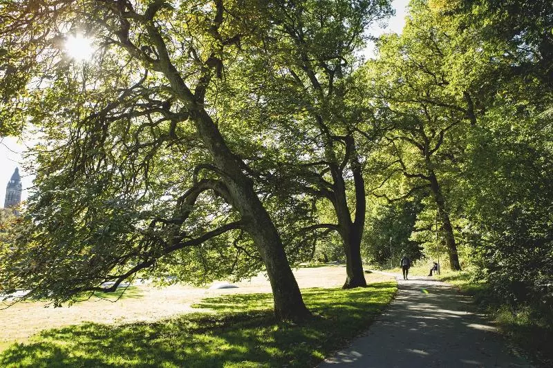 Linnéplatsens Hotell & Vandrarhem
