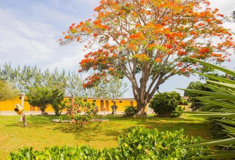 Отель Parque Do Sol