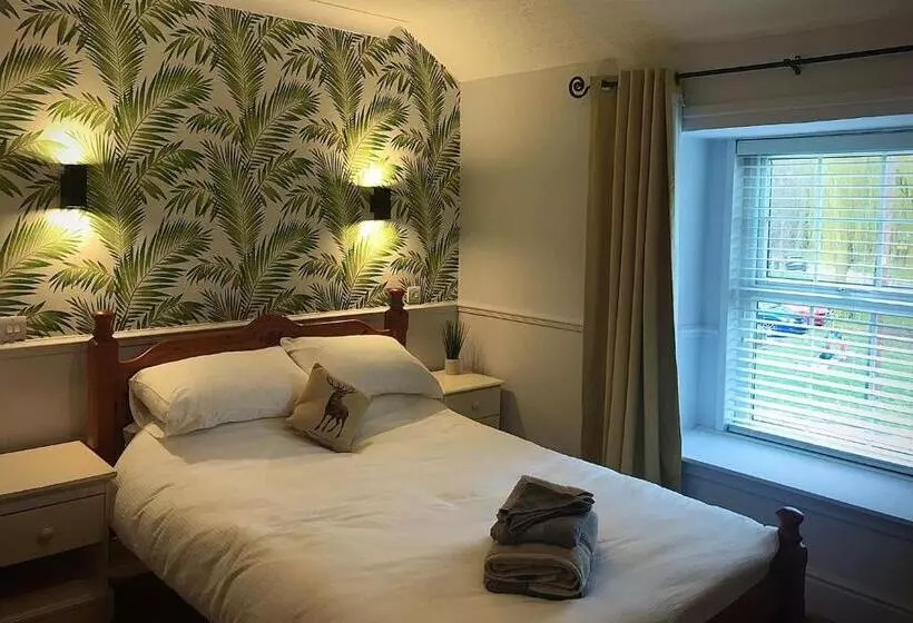 酒店 Red Lion Coaching Inn