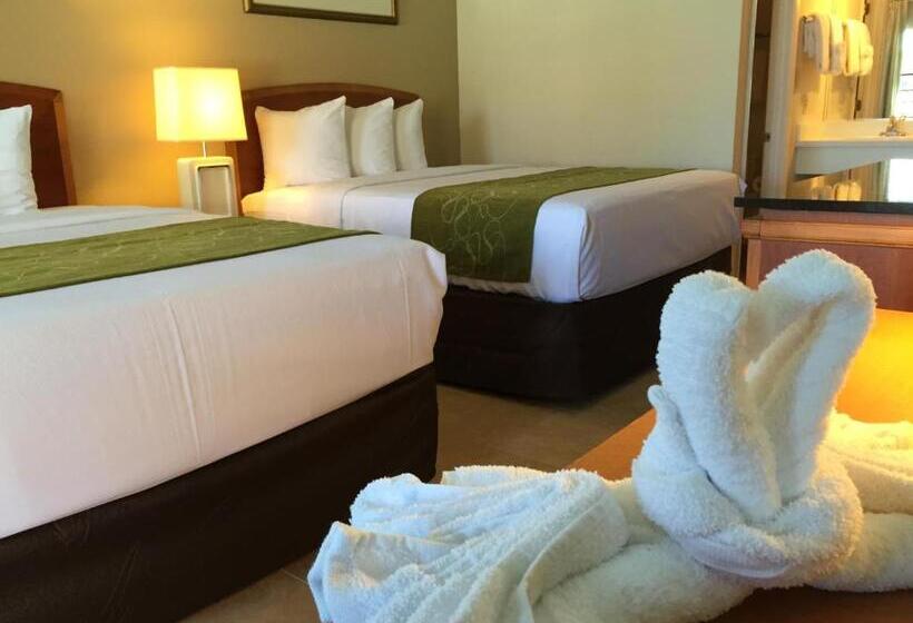 בית מלון כפרי Seasons Florida Resort